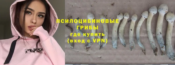 spice Кинешма