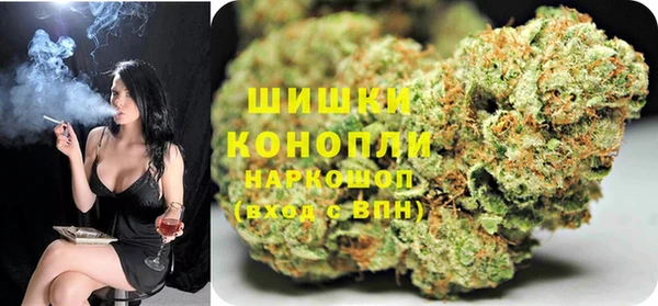 spice Кинешма
